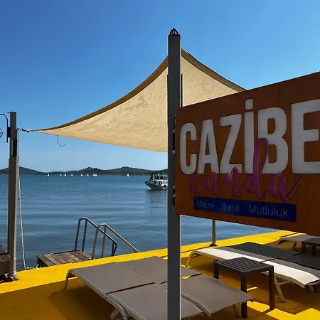 Отель Cunda Deniz 3*